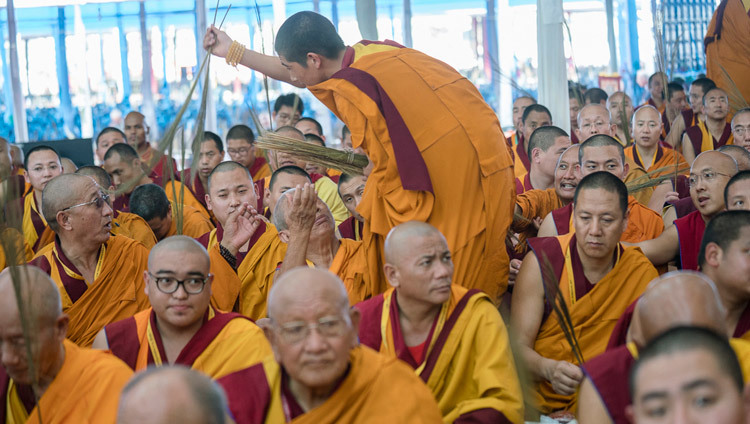 La hierba kusha es distribuida a la multitud durante la preparación de los estudiantes para la Iniciación de Kalachakra en Bodhgaya, Bihar, India, el 11 de enero de 2017. Foto/Tenzin Choejor/OHHHDL