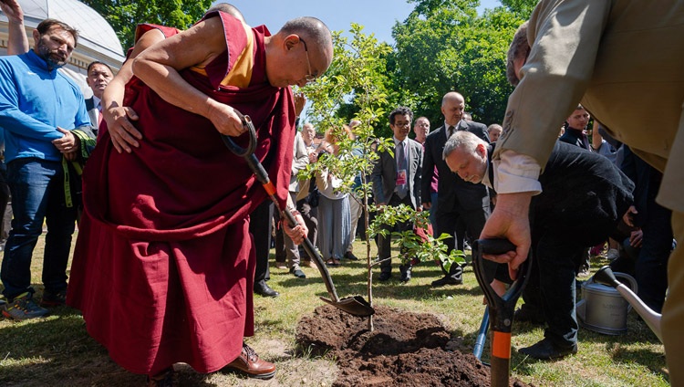 Su Santidad el Dalái Lama plantando un árbol joven para simbolizar la amistad entre Lituania y el Tíbet en la Plaza del Tíbet en Vilna, Lituania, el 13 de junio de 2018. Foto de Tenzin Choejor