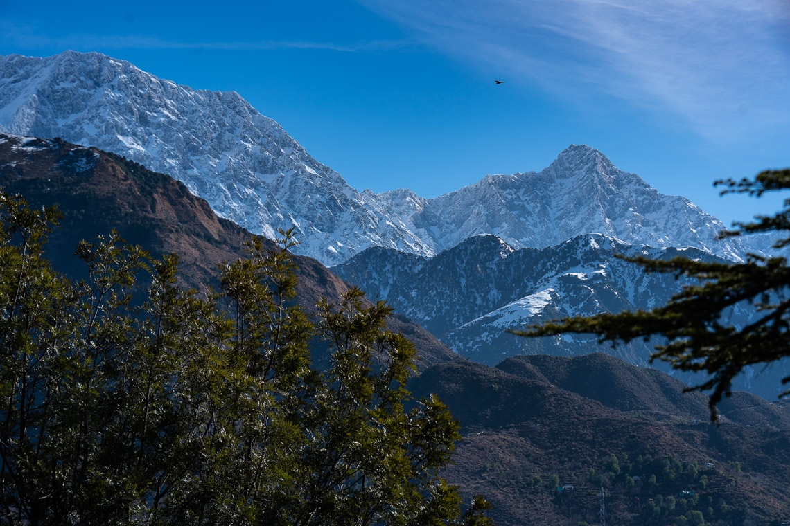 Las montañas nevadas detrás de Dharamsala en la mañana de la última sesión de enseñanzas de Su Santidad el Dalái Lama en el Templo Principal Tibetano el 23 de febrero de 2019. Foto de Tenzin Choejor