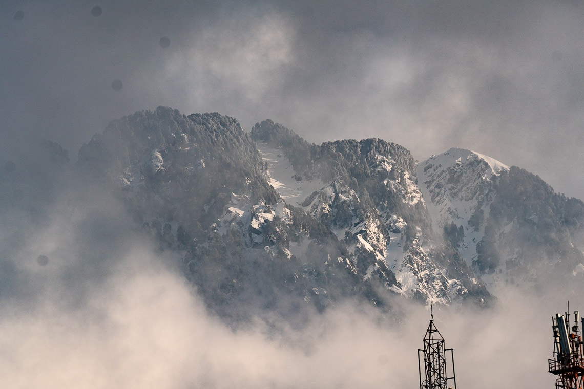 Nieve fresca en las montañas detrás de Dharamsala en la mañana del Día de los Milagros en Dharamsala, HP, India el 19 de febrero de 2019. Foto de Tenzin Choejor