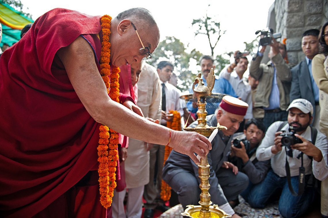 2011 04 06 Kangara 02 Dlo 5859