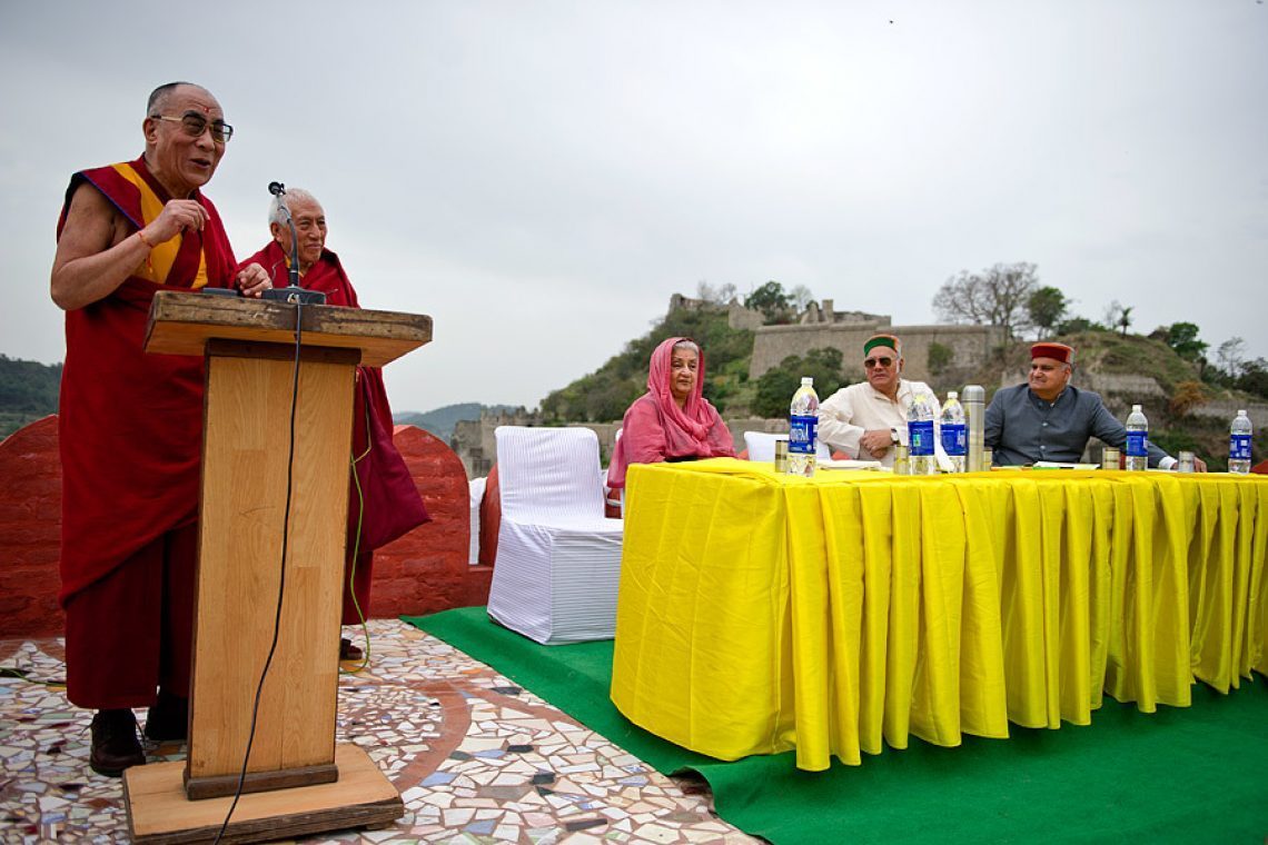 2011 04 06 Kangara 06 Dlo 5953