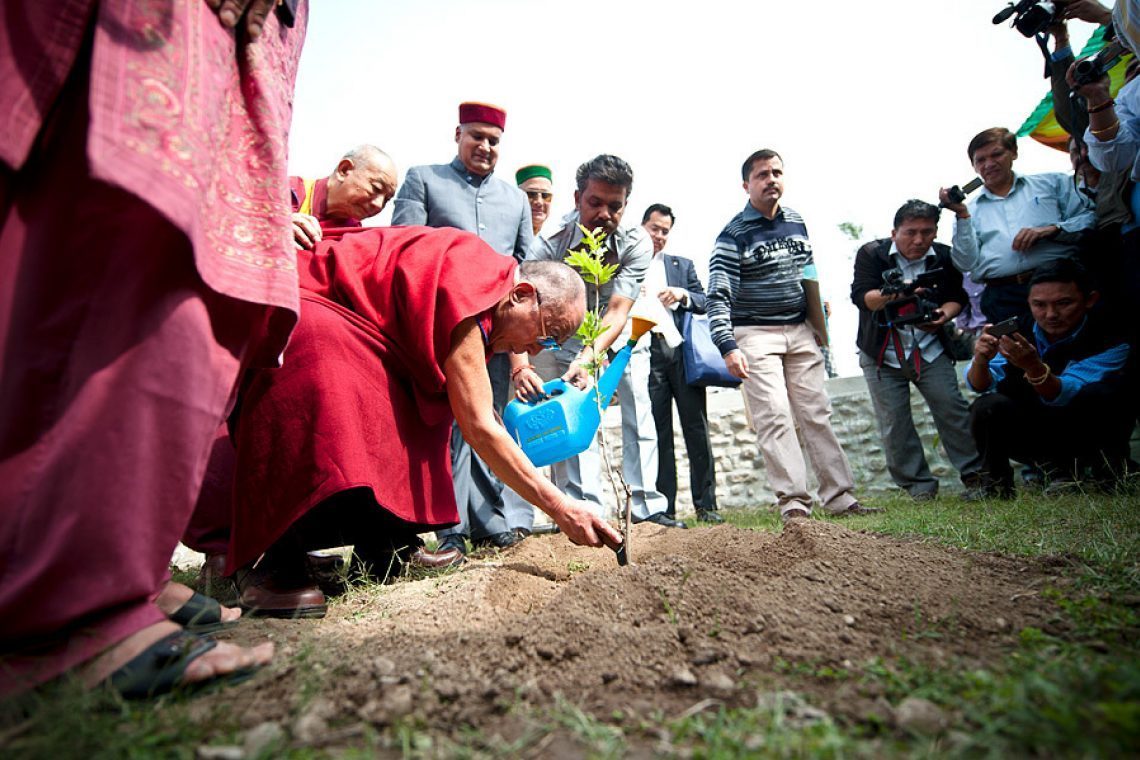 2011 04 06 Kangara 08 Dsc 3407