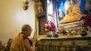 Peregrinación al Templo Mahabodhi al final de la visita a Bodhgaya