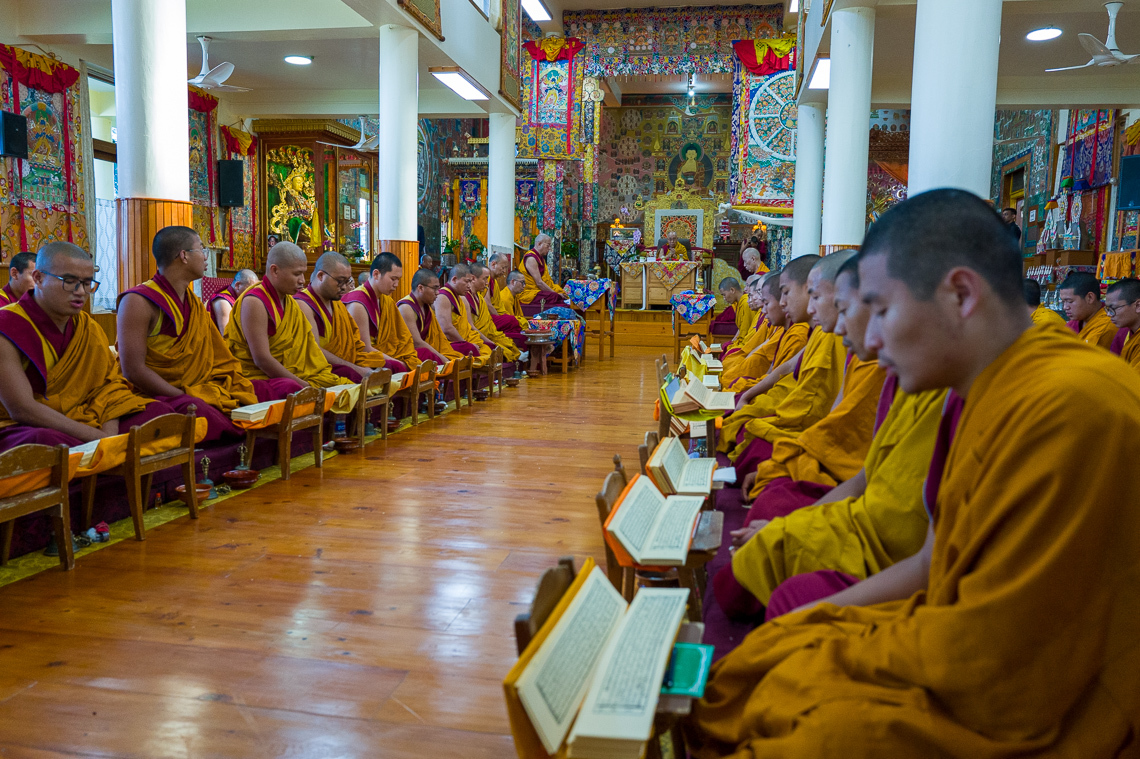 2026 05 01 Dharamsala G03 L1240687