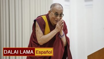 Somos animales sociales