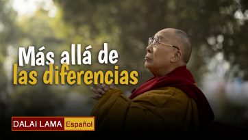 Más allá de las diferencias